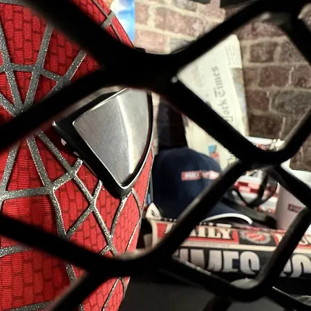 Appartement Magihom Spider 8 Minsdisneyland